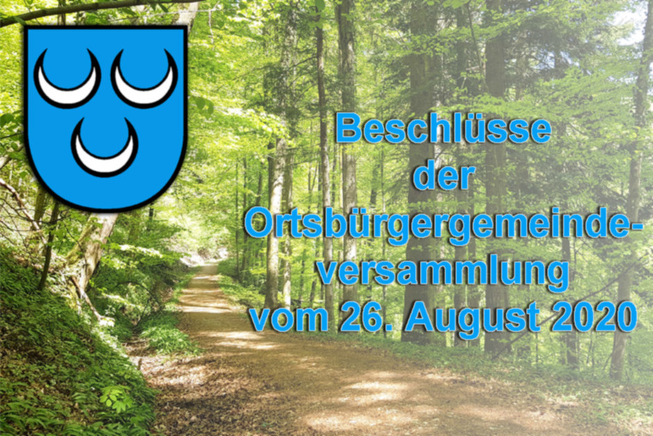 Ortsbürgergemeindeversammlung.jpg