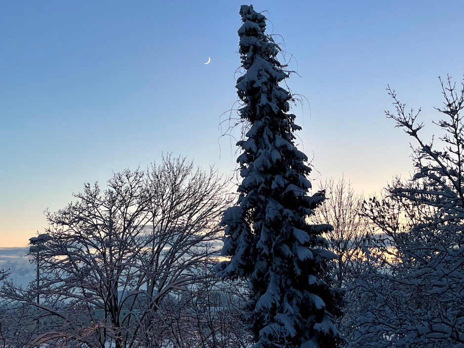 001_Winterlandschaft.jpg