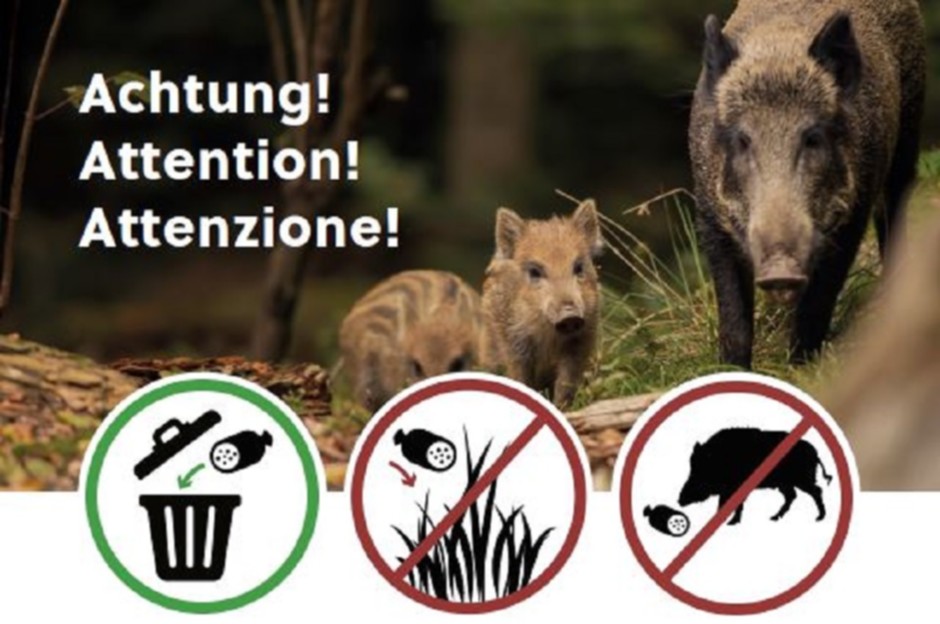 Afrikanische Schweinepest_1.JPG