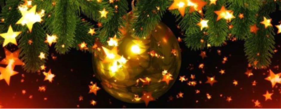 Weihnachtssterne1.PNG