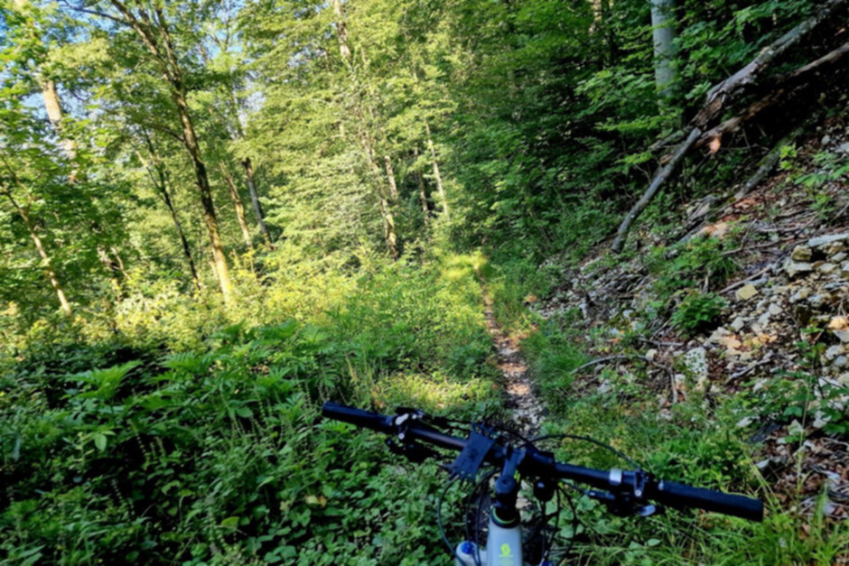 Bikewege_Foto.jpg