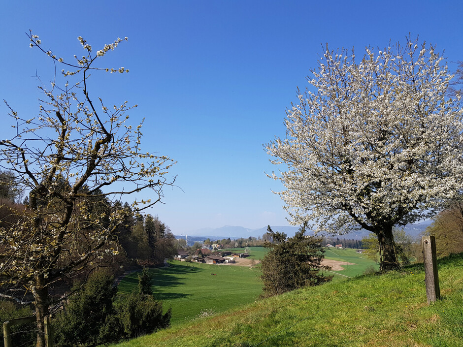 Banner_fuer_Homepage_Frühling_2025_x1f2zf102yo6.jpg
