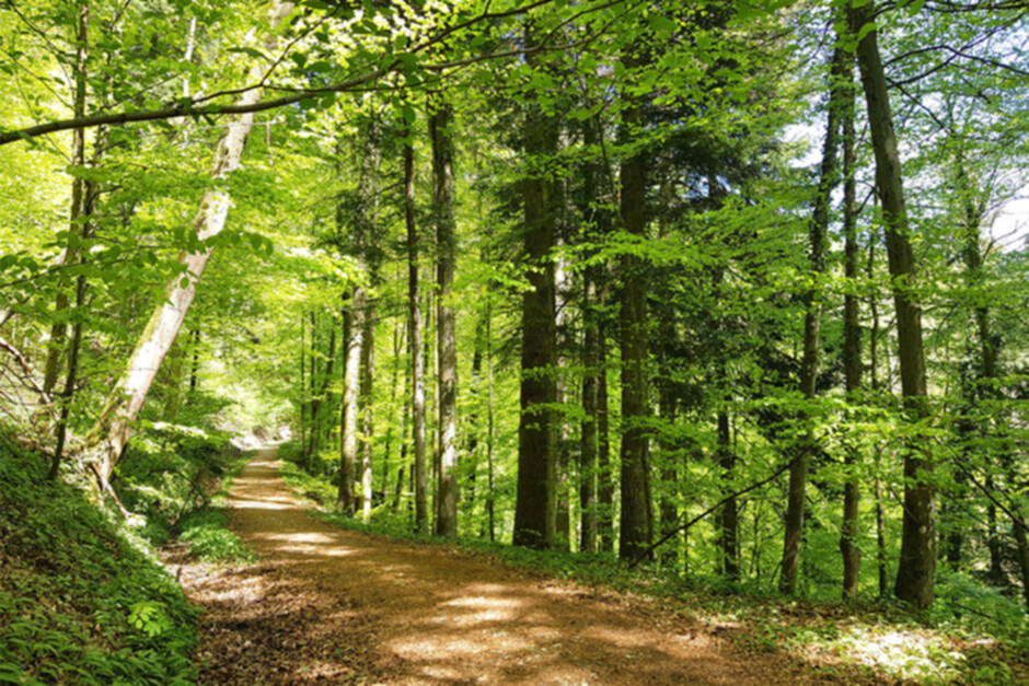 Ortsbürgergemeindeversammlung_13uvkzs6c6m9i.jpg