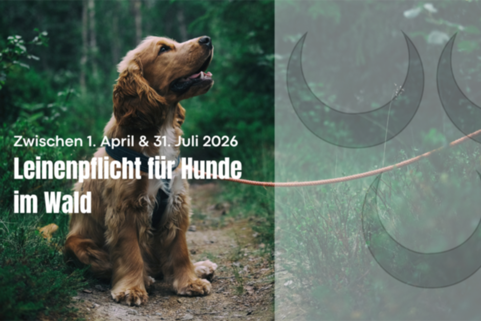 Leinenpflicht Hunde.png